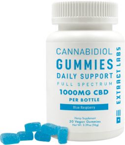 CBD GUMMIES | DAILY SUPPORT | BLUE RASPBERRY - Palm Beach CBD Wellness Boutique
