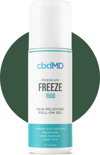CBD Freeze Roll  on 3oz Roller- - Palm Beach CBD Wellness Boutique